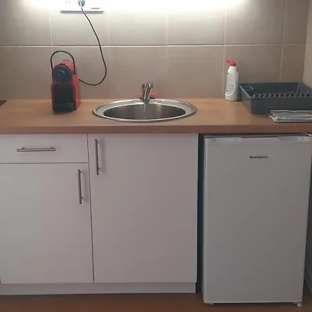 公寓 Borti 扎马迪